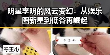 明星李明的风云变幻：从娱乐圈新星到低谷再崛起